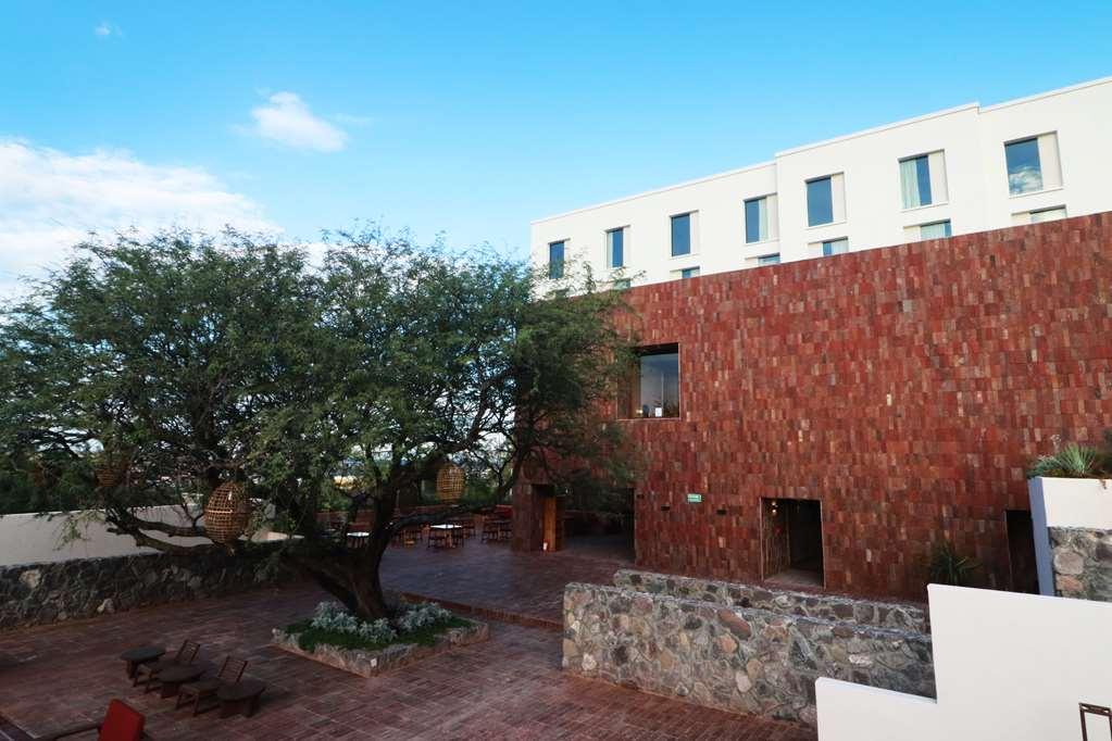 Albor San Miguel De Allende Tapestry Collection By Hilton Exterior photo
